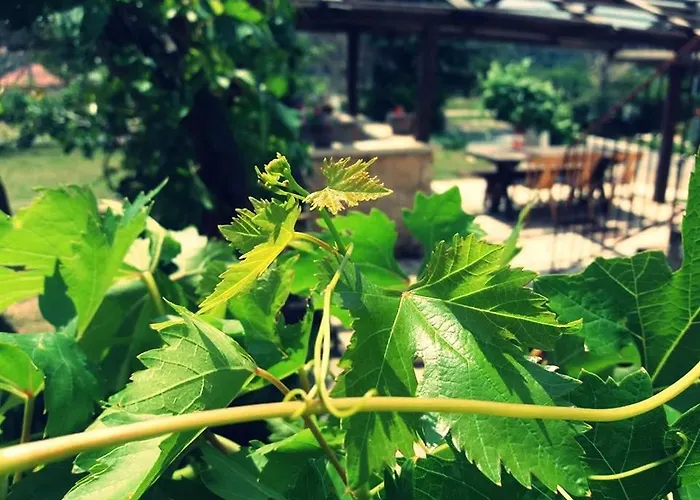 아파트 Ajp 포세다르예