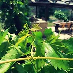 Apartamento Ajp Posedarje