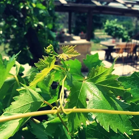 Apartamento Ajp Posedarje